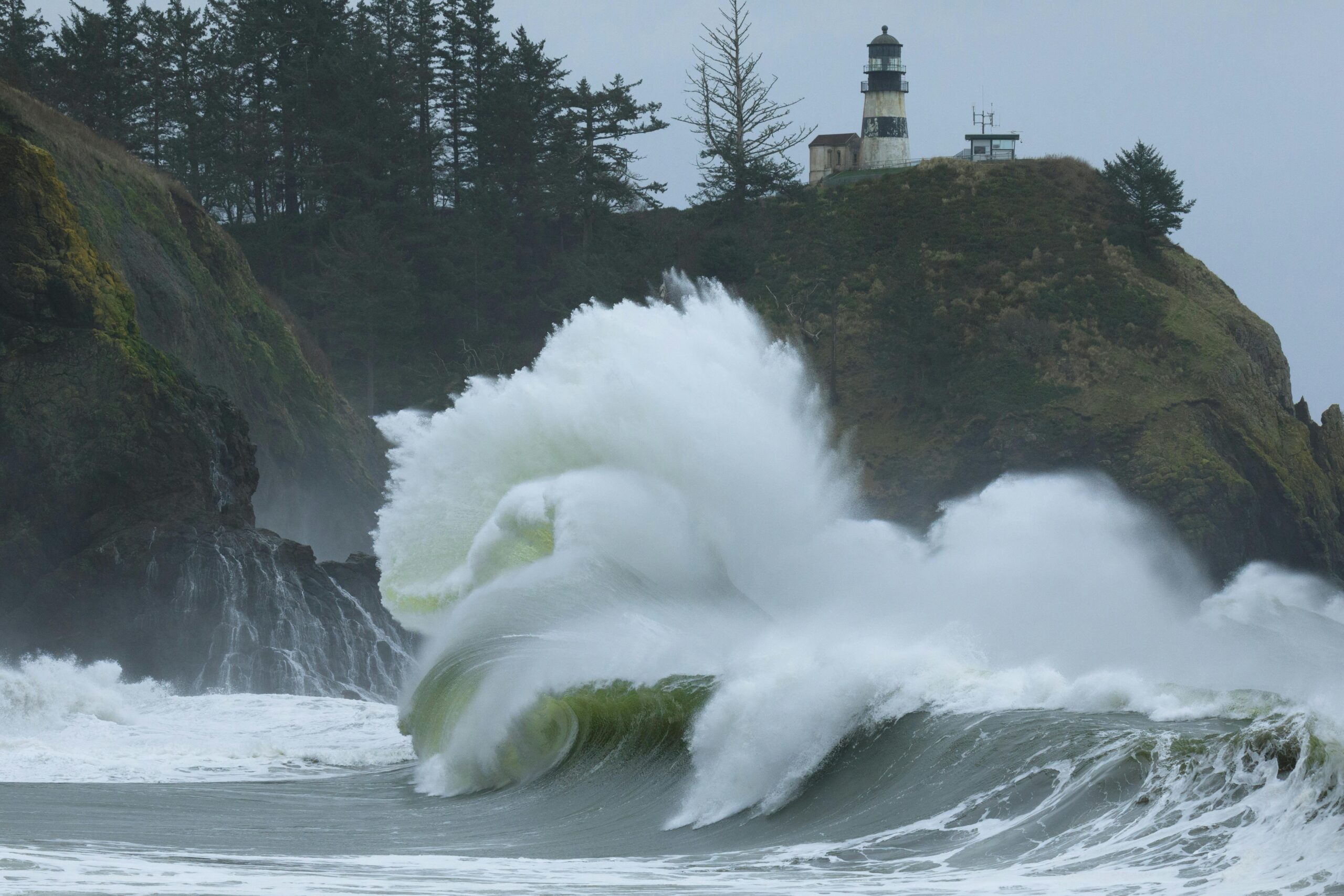 High Wind Warning: How to Stay Safe During Strong Gusts